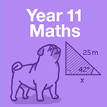 Year 11 Maths