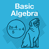 Basic Algebra