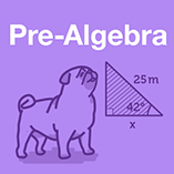 Pre-Algebra