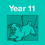 Year 11 Maths