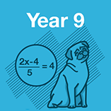 Year 9 Maths