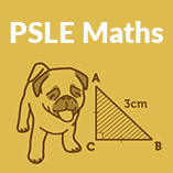 PSLE Maths