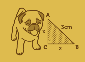 8th Grade Math on StudyPug