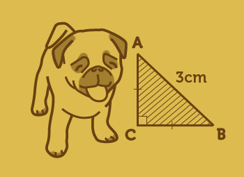 Year 7 Maths on StudyPug