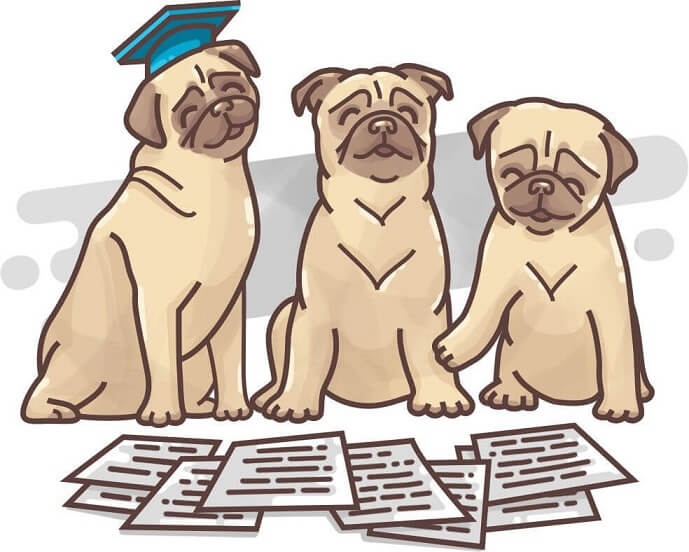 Judges reviewing essays