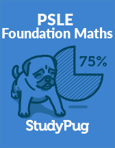 SG PSLE Foundation Maths textbook