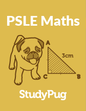 SG PSLE Maths textbook