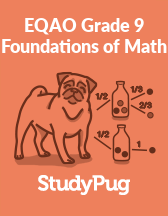 EQAO Grade 9 Foundations of Math textbook