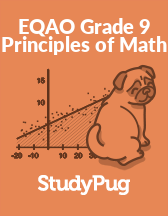 EQAO Grade 9 Principles of Math textbook