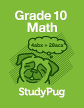 Grade 10 Math  textbook
