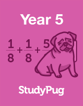 UK Year 5 Maths textbook