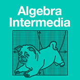 Álgebra Intermedia