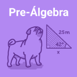 Pre-Álgebra 