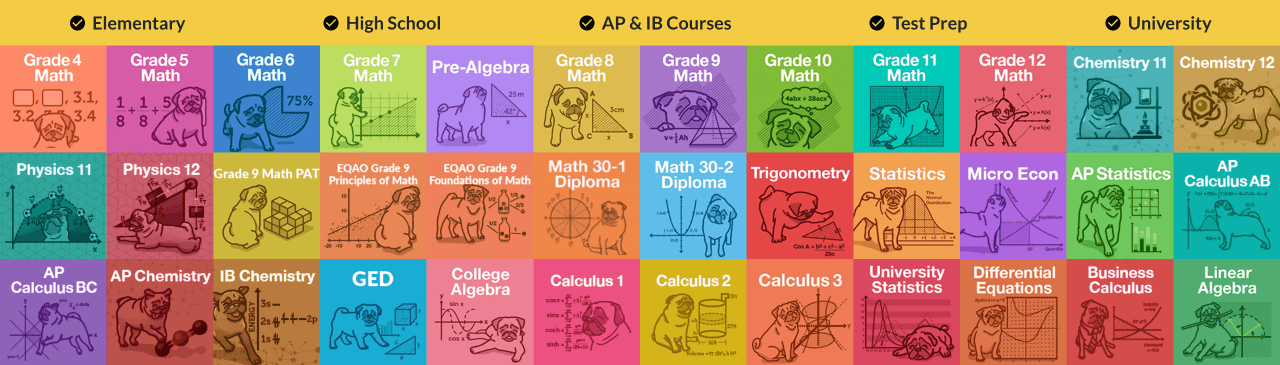 #1 help and practice for elementary, high school, AP & IB, test prep and university