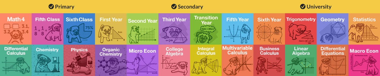 #1 help and practice for primary, secondary, and university.