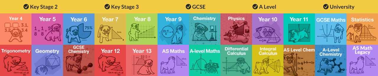 #1 help and practice for key stage 2/3, GCSE, A Level, and university