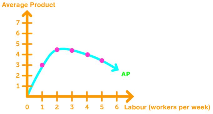 Average product curve