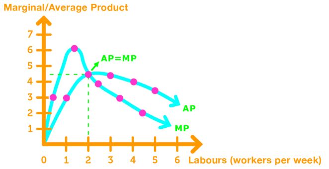 Marginal & product curve