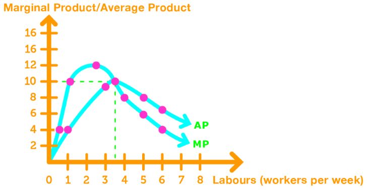 Marginal & average product curve