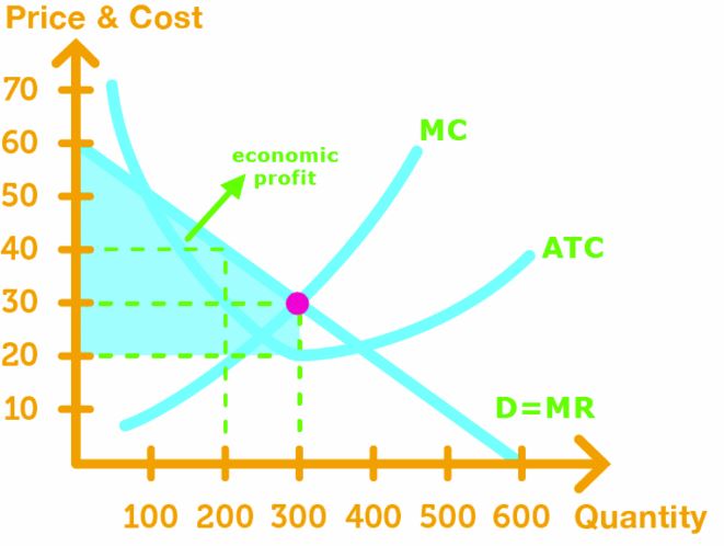 Perfect Price Discrimination