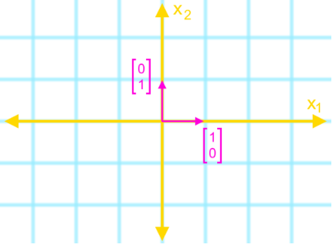 The matrix of a linear transformation