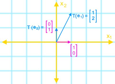 The matrix of a linear transformation