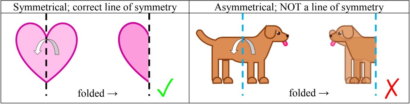 Basics of Symmetry