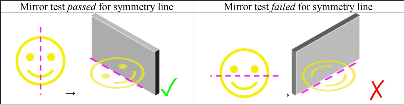 Basics of Symmetry