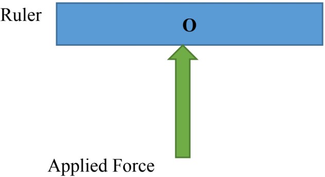 Torque and Rotational Inertia