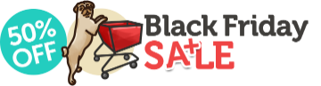Black Friday Sale