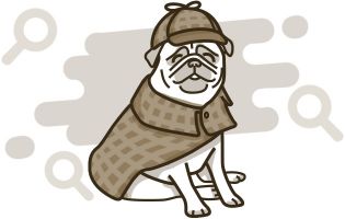 StudyPug's Sherlock pug is on the case find you help