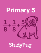 SG Primary 5 textbook