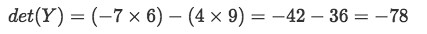 Equation 15: Determinant of matrix Y