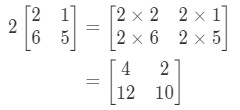 Equation 1: Scalar Multiplication Example 1 pt.3
