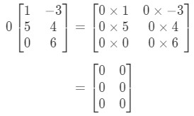 Equation 2: Scalar Multiplication Example 2 pt.3