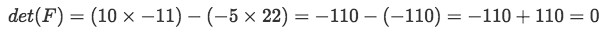 Equation 13: Determinant of matrix F