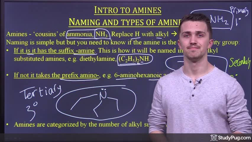 Intro to amines: naming, priority rules, and primary/secondary/tertiary categories